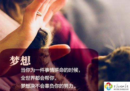 一句话骂醒不努力的人 讽刺不努力的人的句子 第1张