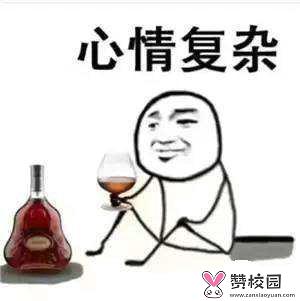 臭氧的功能和功效是什么(臭氧的功效是什么)